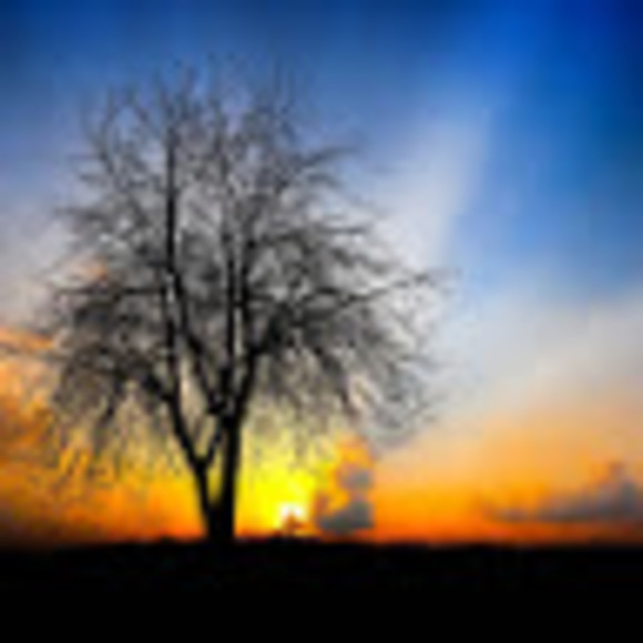 Meet your Posher, Lilly - Picture 1 of 1